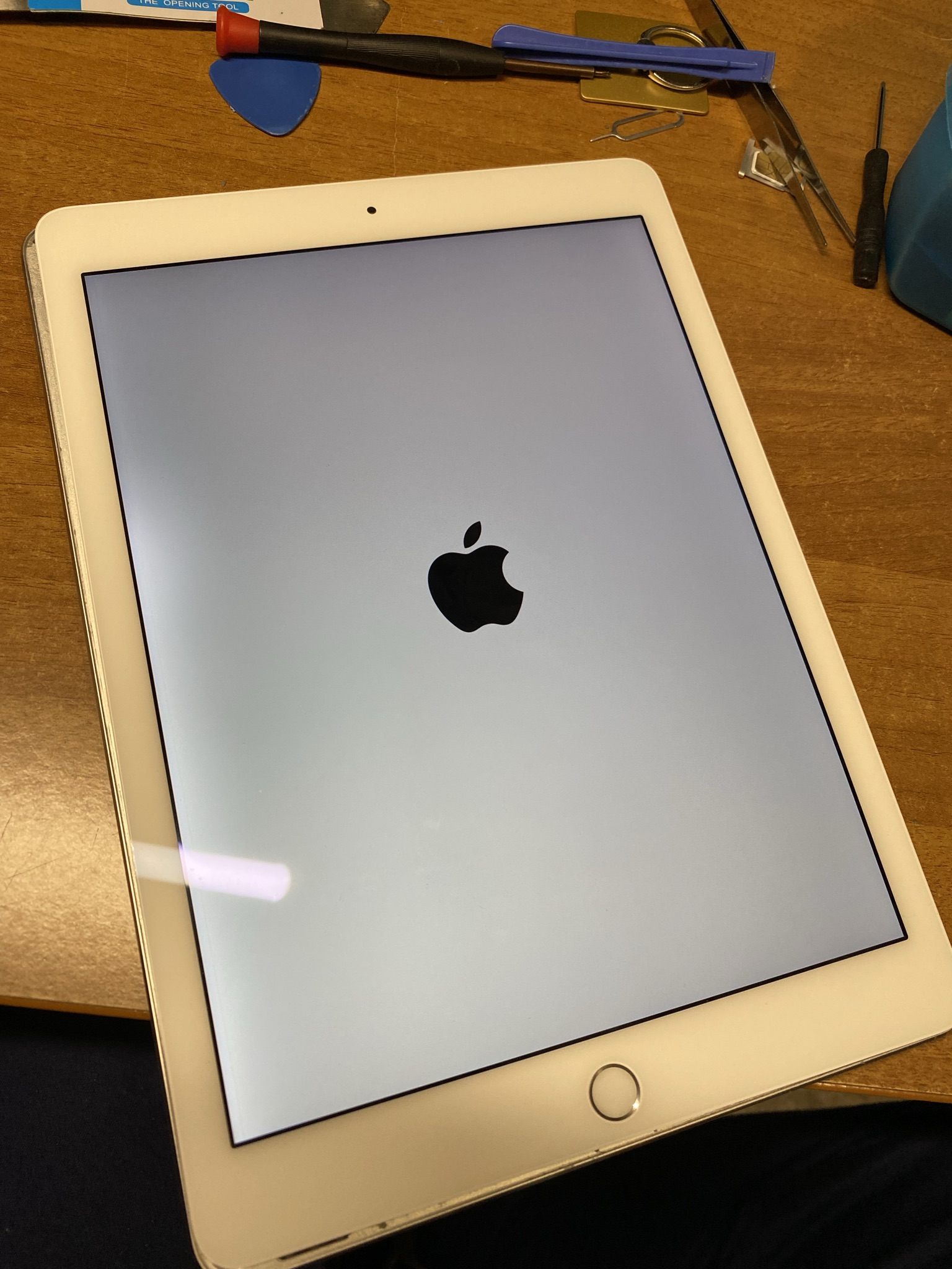 Apple Ipad Air 2